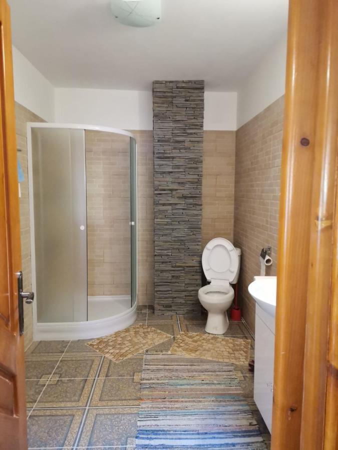 Casa Crisandri Busteni Hotel Eksteriør billede