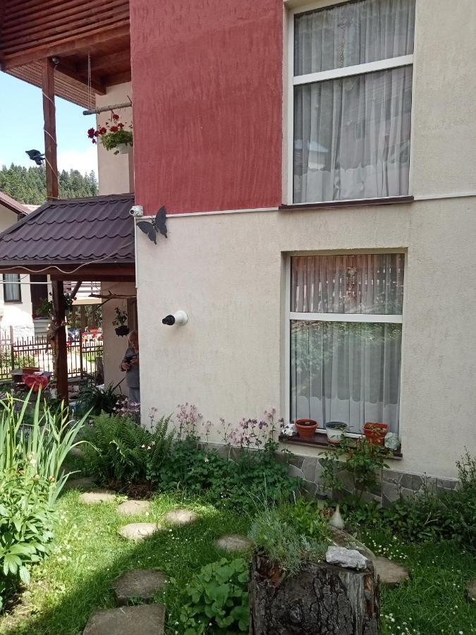 Casa Crisandri Busteni Hotel Eksteriør billede