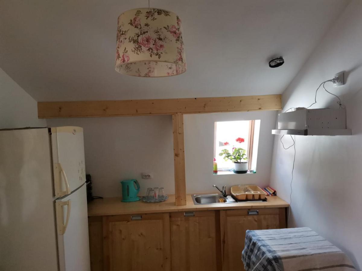 Casa Crisandri Busteni Hotel Eksteriør billede